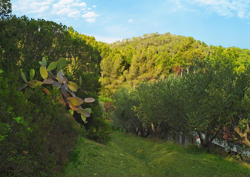 Hotel Capo Sud Lacona Exterior photo