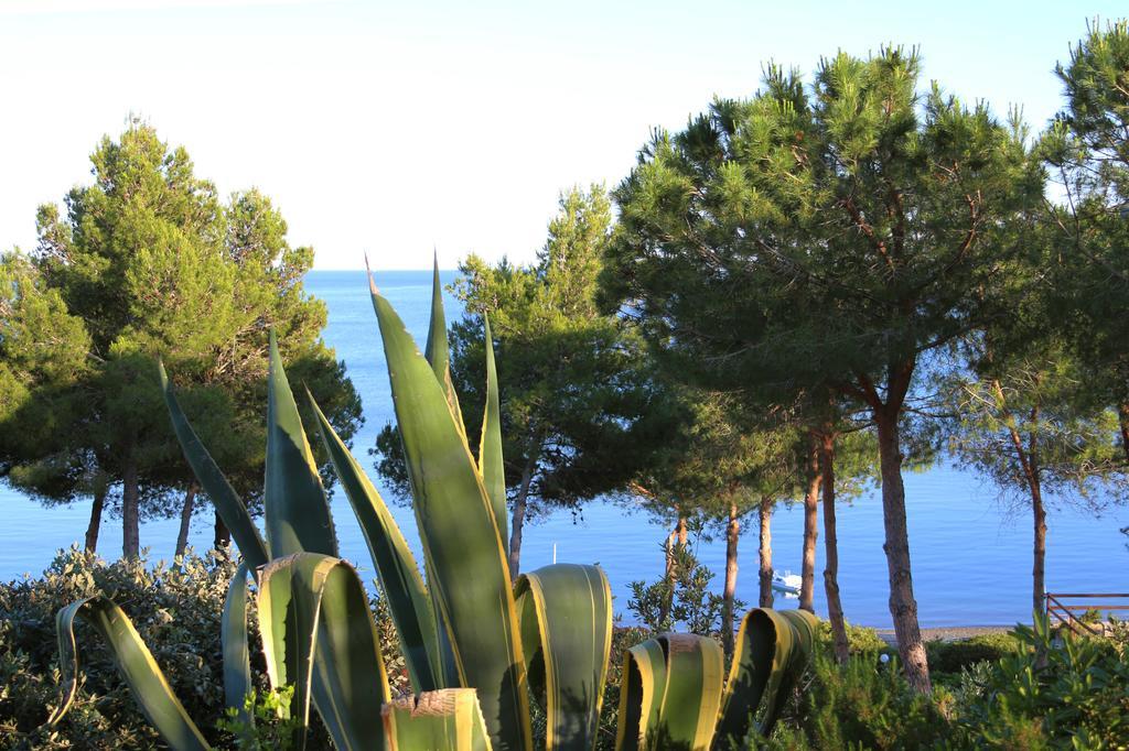 Hotel Capo Sud Lacona Exterior photo